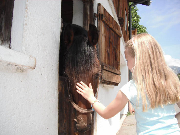 Mädchen streihelt ein Pferd